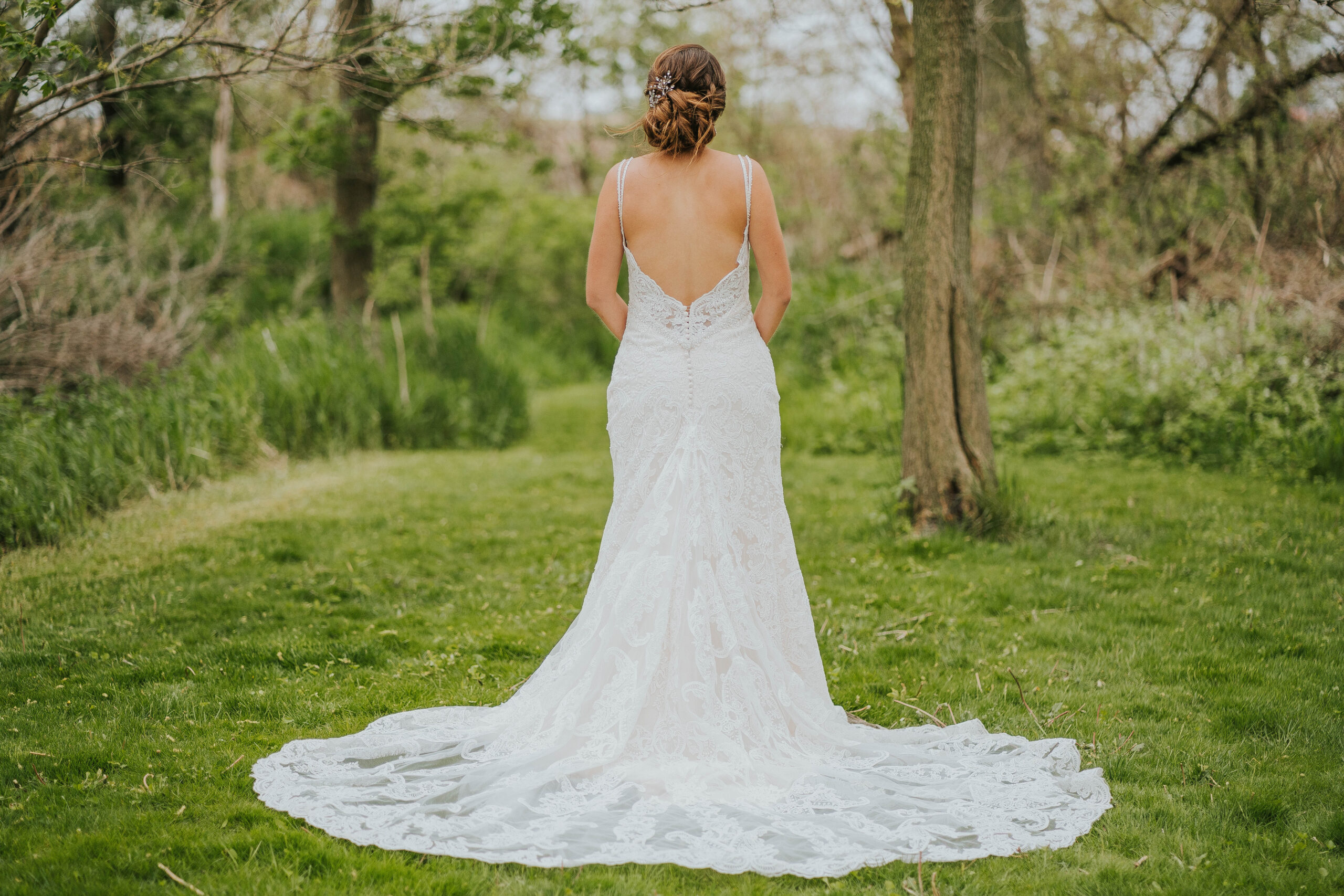 Back of Wedding Gown