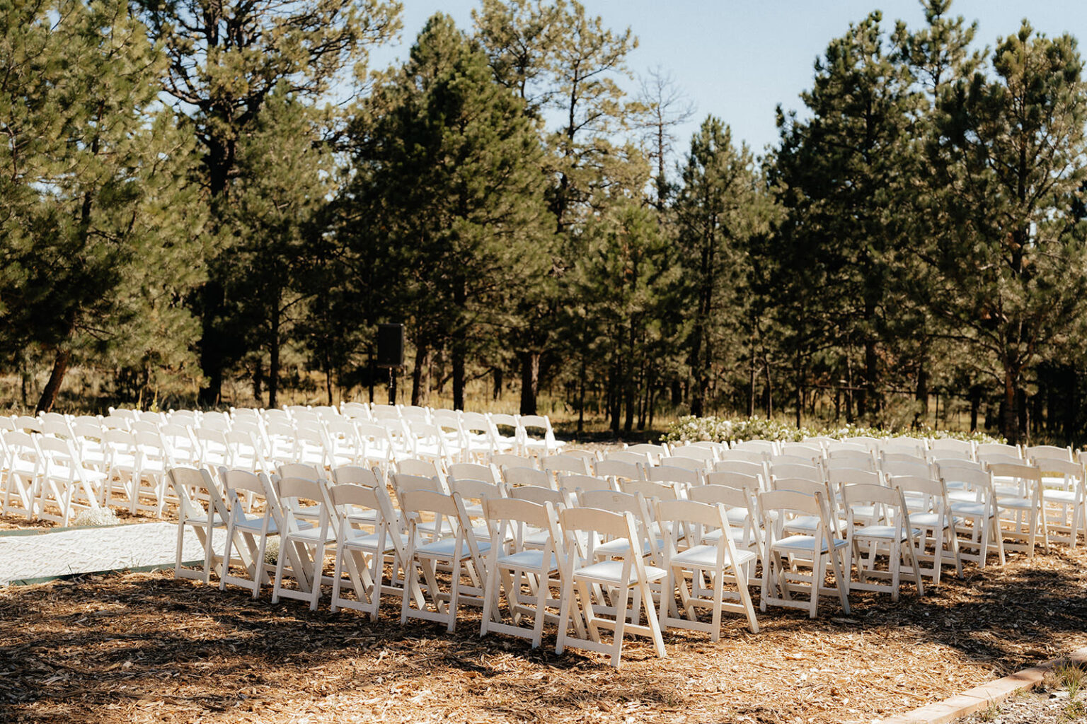 Colorado Springs Wedding Colorado Wedding Photographer