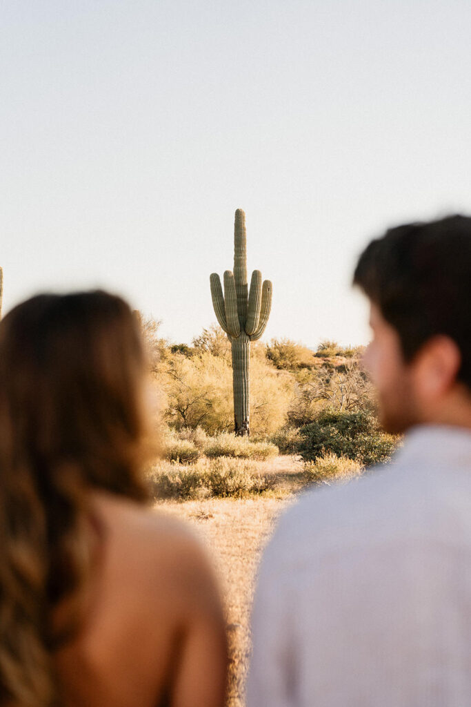 Arizona Engagement Photos