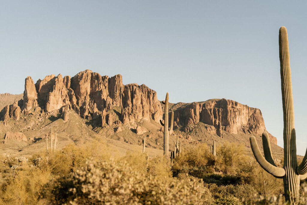 Arizona Engagement Photos