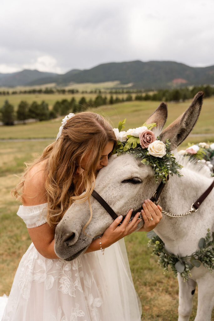 spruce mountain ranch wedding