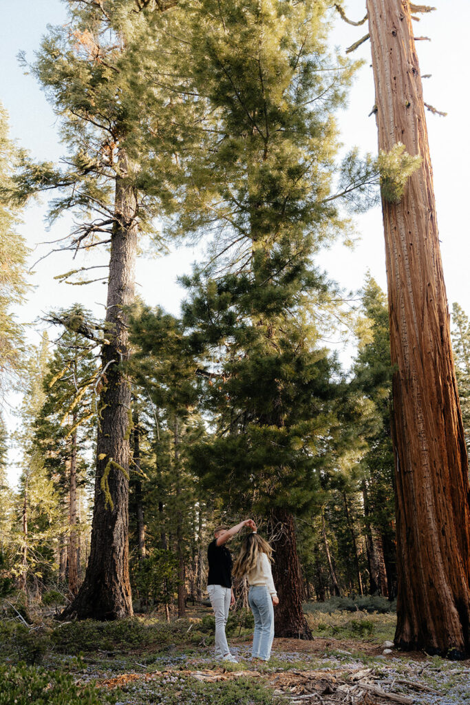 lake tahoe engagement photos