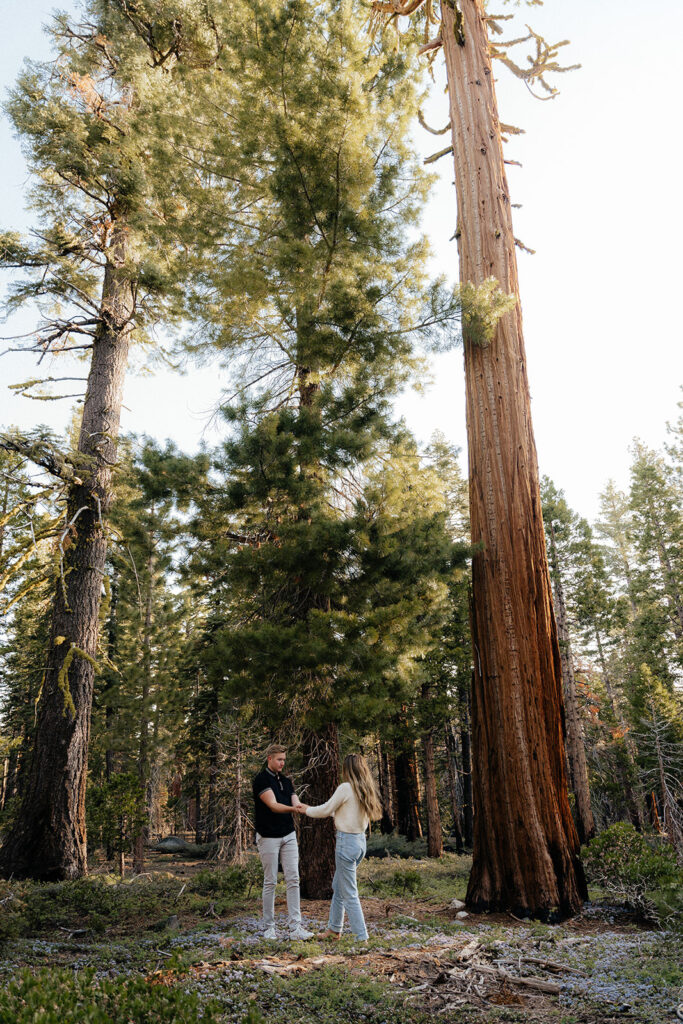 lake tahoe engagement photos