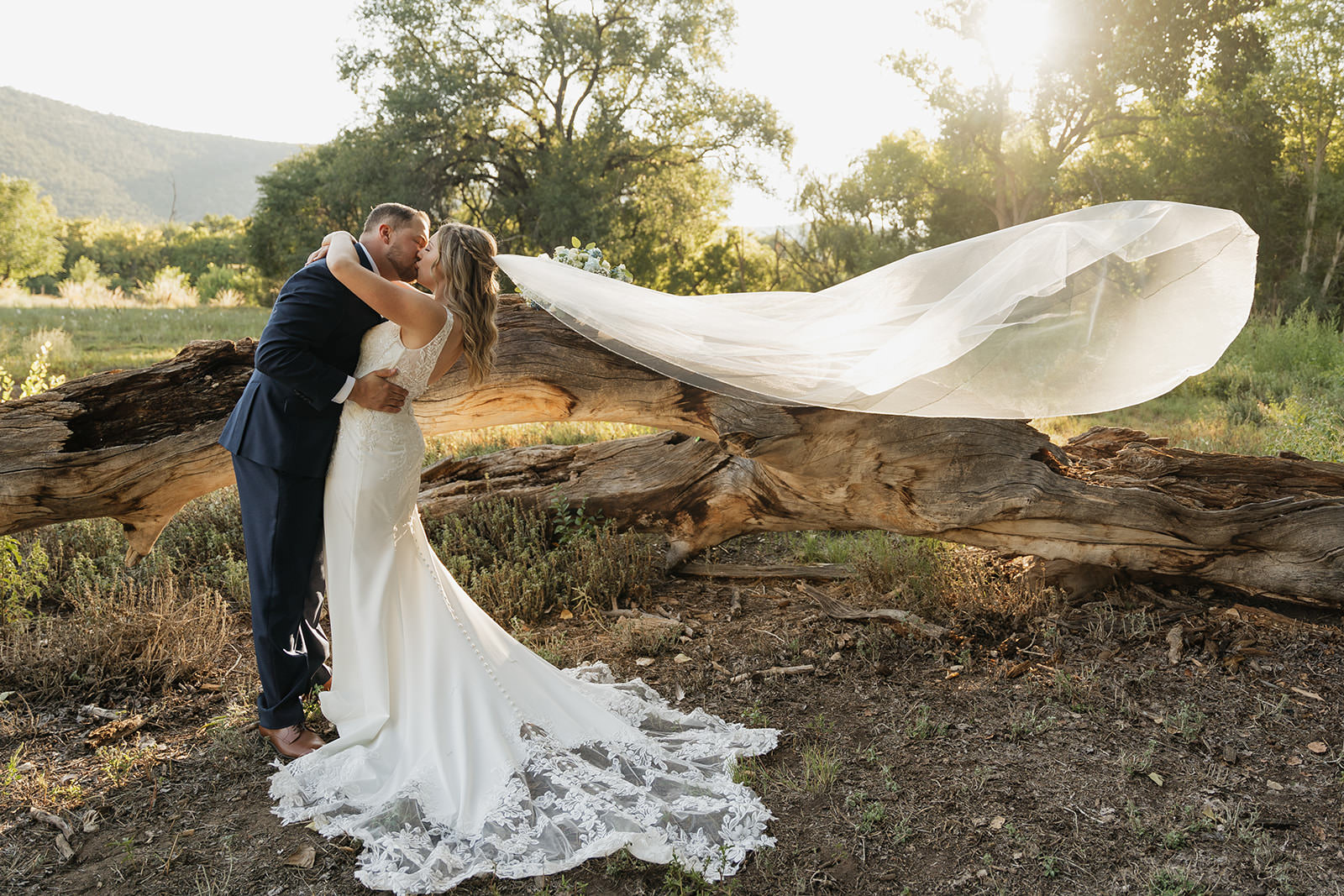 new mexico wedding