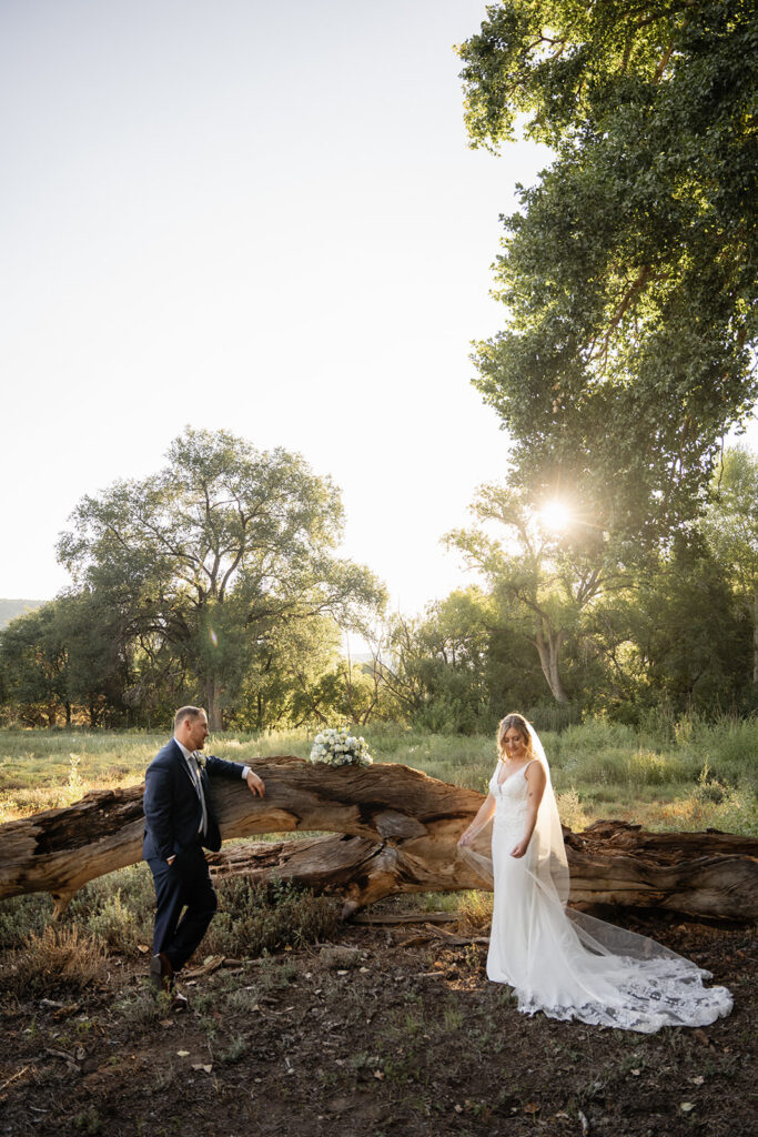 new mexico wedding