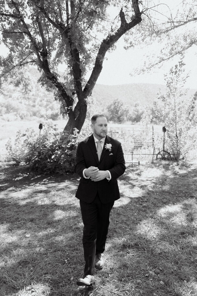 new mexico wedding