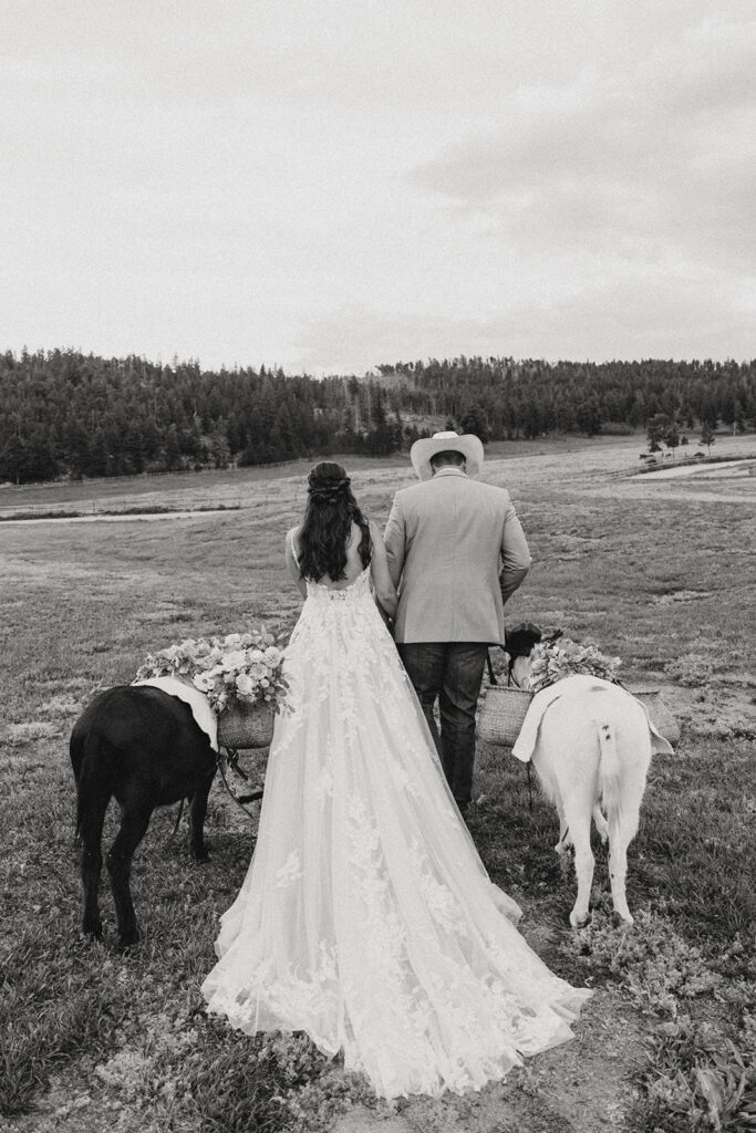 colorado wedding and elopement photographer