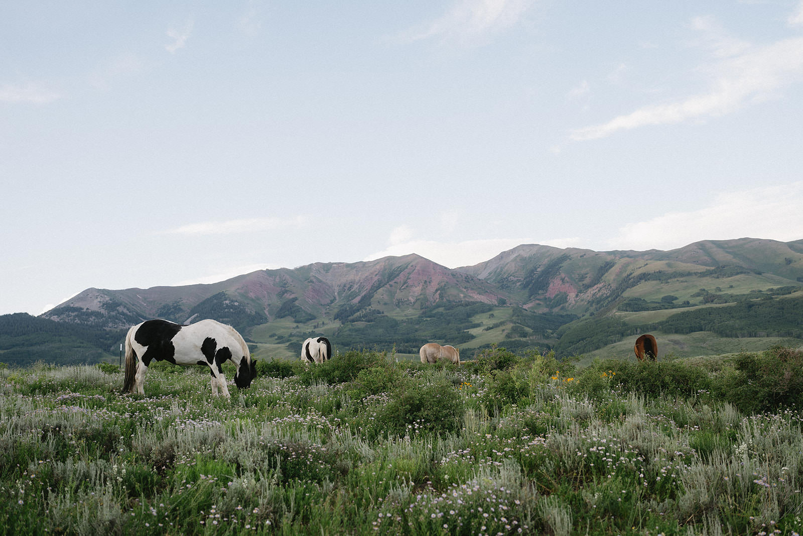 colorado wedding photographer