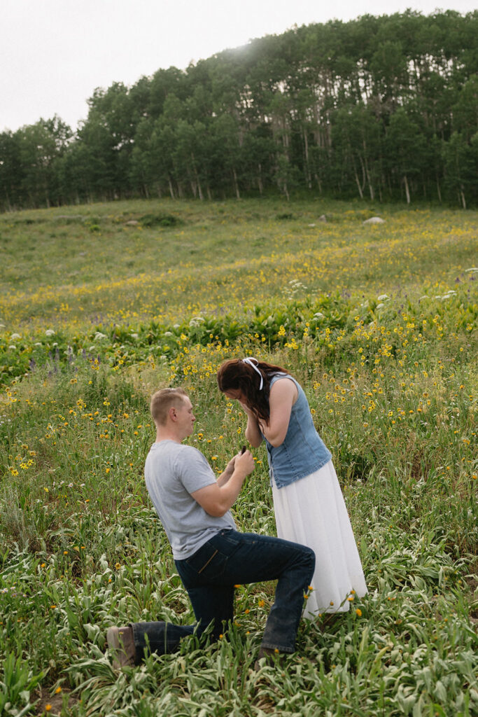 crested butte engagement photos