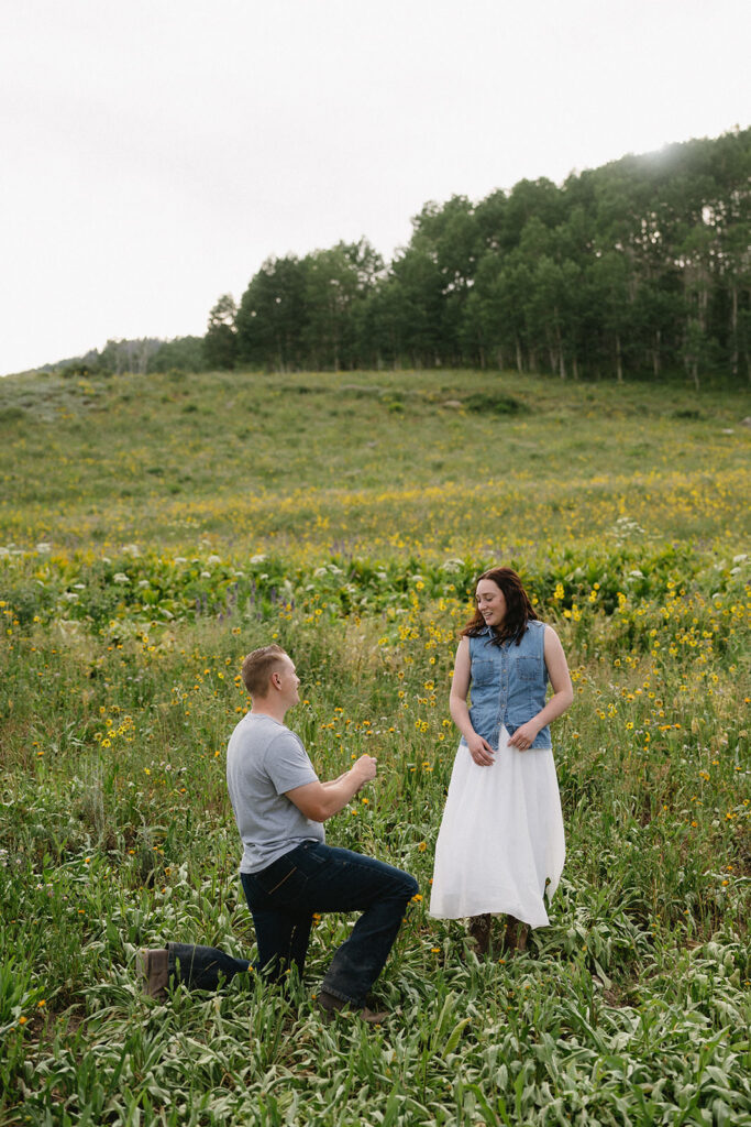 crested butte engagement photos